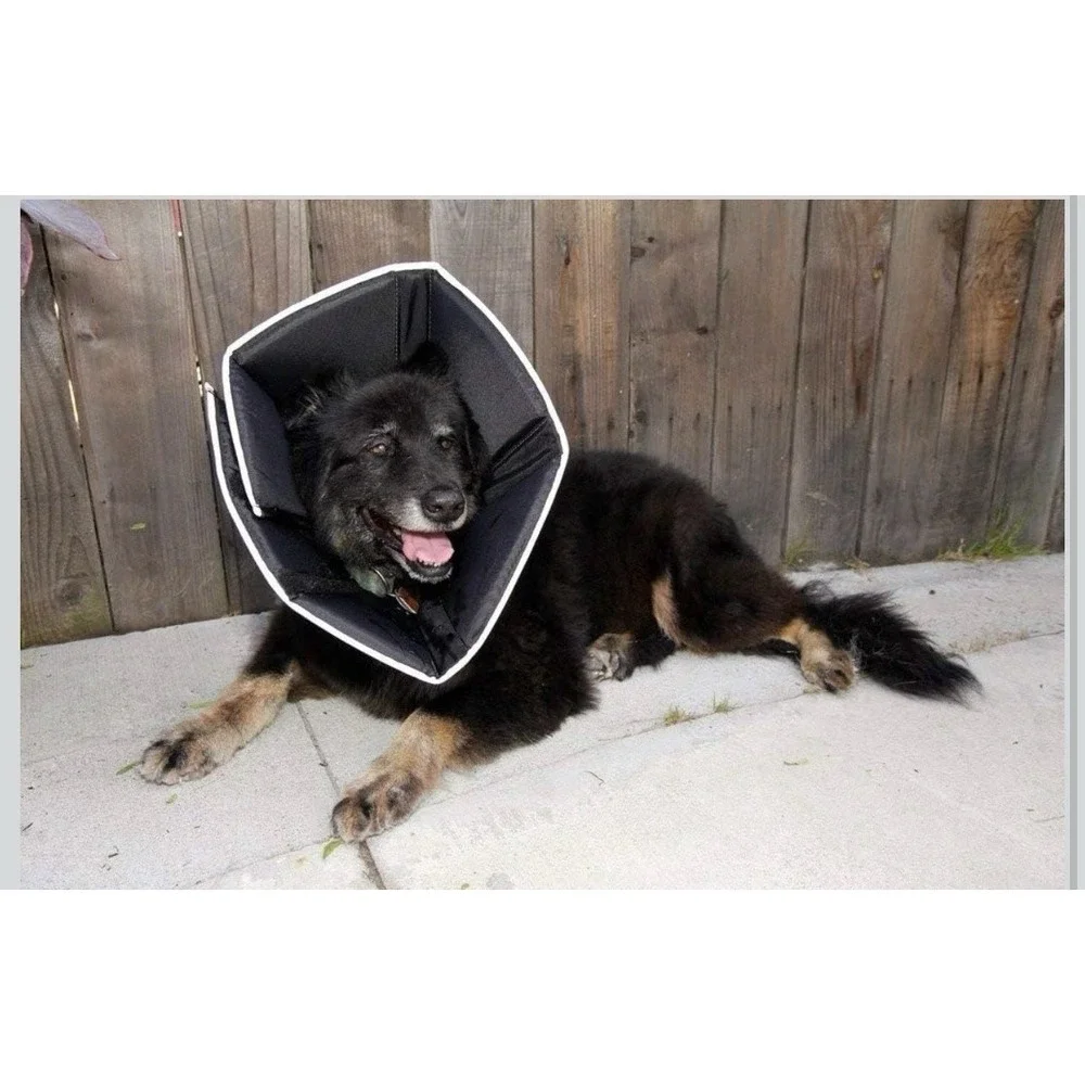 All Four Paws Comfy Cone Small Long Black Soft Pet Recovery Collar S/L 8in Snout